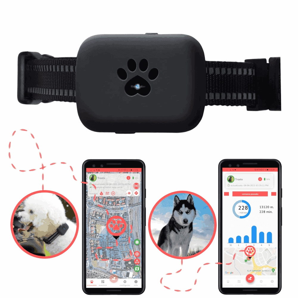 gps para perros