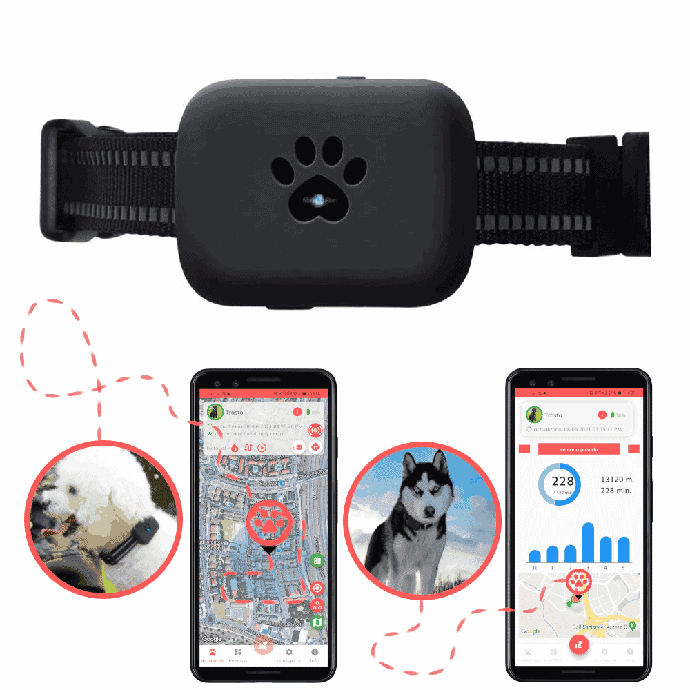  VERSAINSECT r para perros, mini rastreador GPS para gatos, sin  tarifa mensual, rastreador de ubicación global en tiempo real, rastreador de  mascotas impermeable con cuello, compatible con Apple Find My App